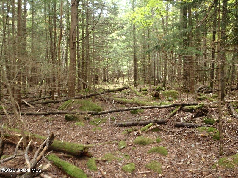 4th image of 262 State Route 28N
