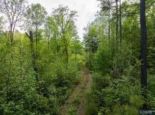 9.60 Pleasant Grove Rd, Horton, AL 35980