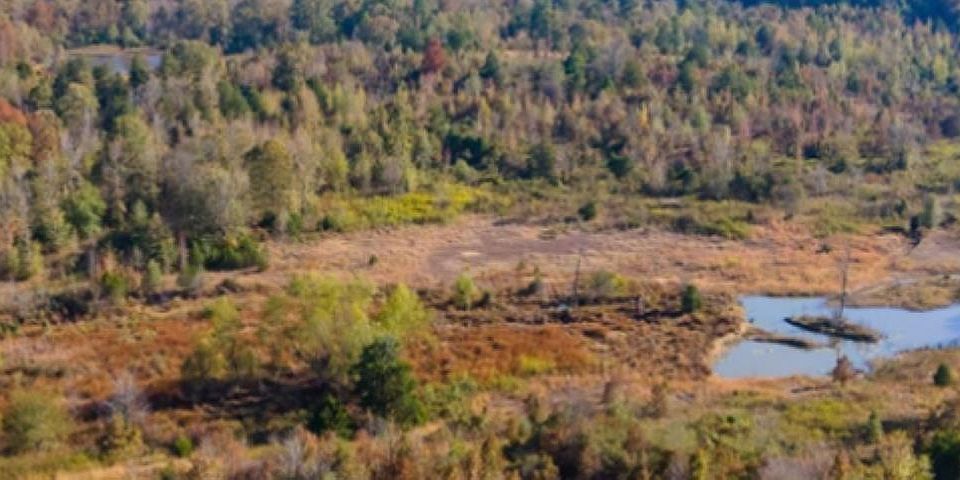 1st image of 452C Caney Valley Dr