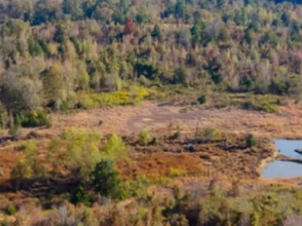 452C Caney Valley Dr, Plumerville, AR 72127