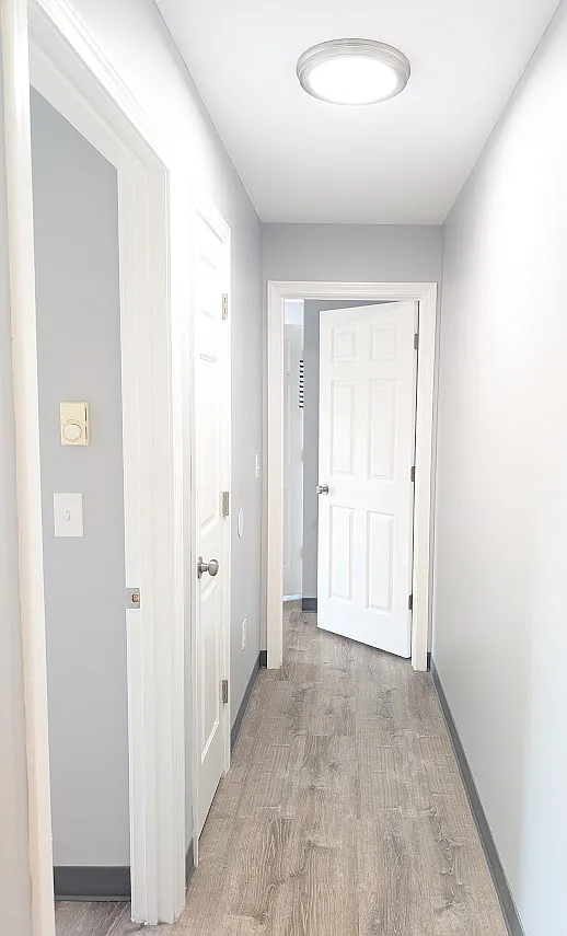 2 bed, $1,250 — Photo 3