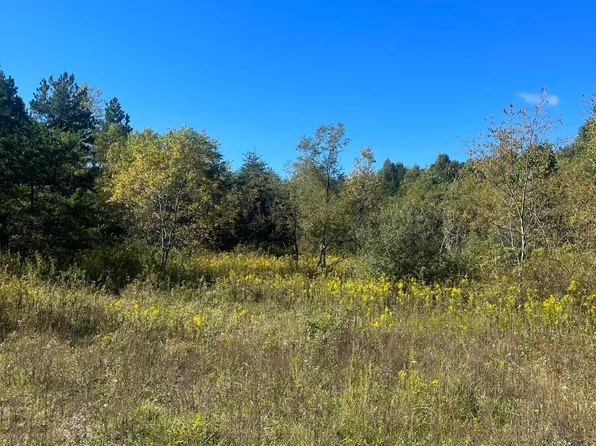 Tlc Ln, Summersville, WV 26651