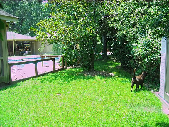  Need exercise/backyard View