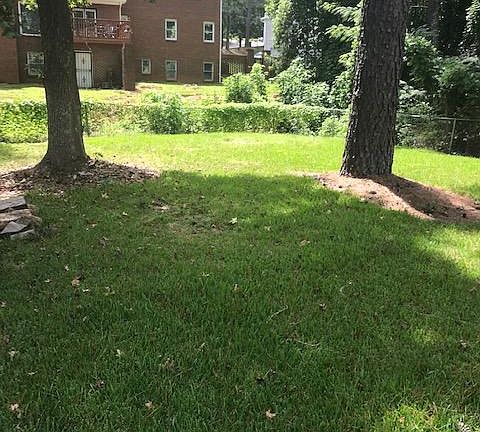 Large gated backyard