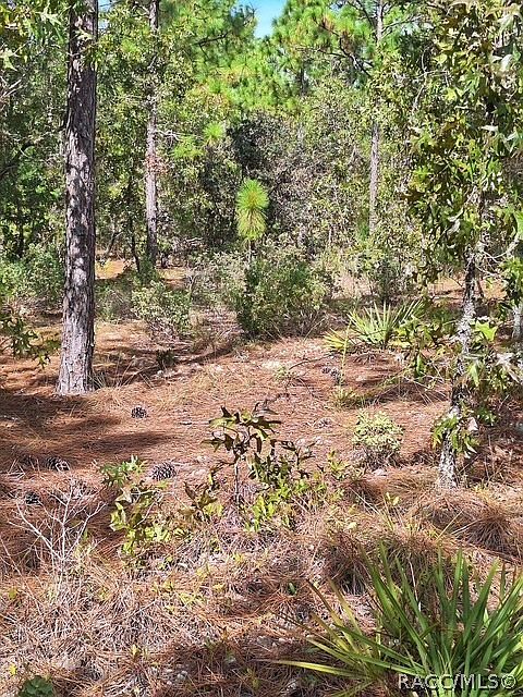 1st image of 4138 W Dorchester Cir