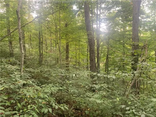 562 Joshua Ln, Gay, WV 25244