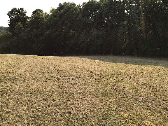 Top of Hill/Facing Woods