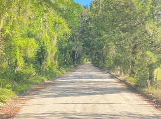 Lot #6 203rd Ave, Old Town, FL 32680