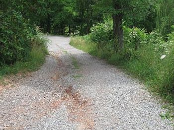 Photo of Mobile Home Lot