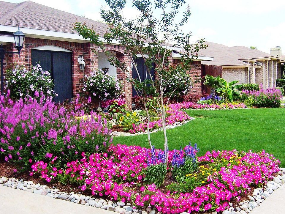 spring at my house