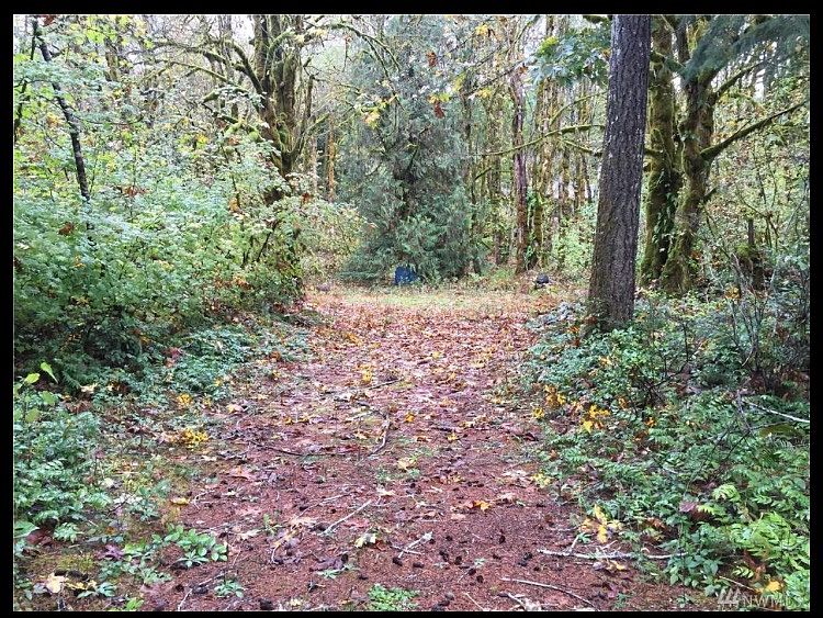 1st image of 81 N Canvasback Way