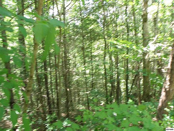 4th image of 11 Mountain Rest Way Lot 11-C