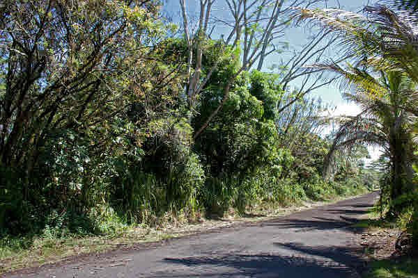 1st image of Railroad Ave Lot 129