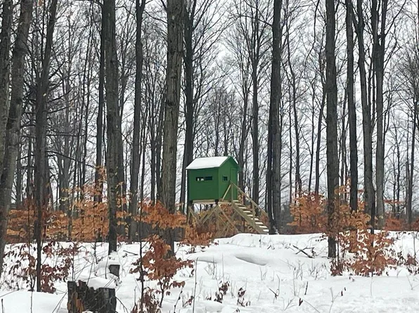 20350 Lindy Rd, Copemish, MI 49625