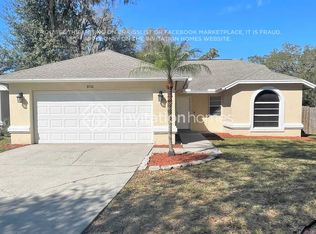 8706 Terra Oaks Rd, Temple Terrace, FL 33637