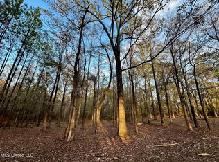 Shadow Creek Dr, Florence, MS 39073