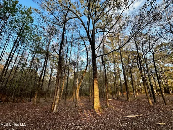 Shadow Creek Dr, Florence, MS 39073