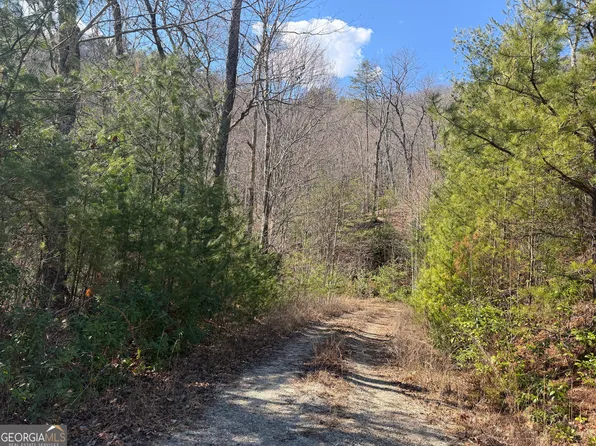 0 Shadow Mountain Dr #32, Dillard, GA 30537