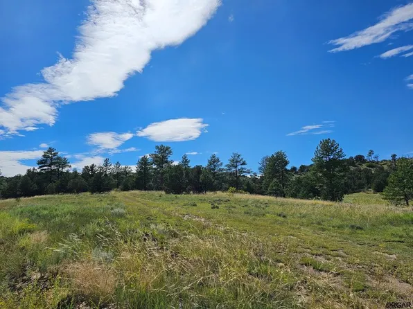159 Mac Donnell Loop, Cotopaxi, CO 81223