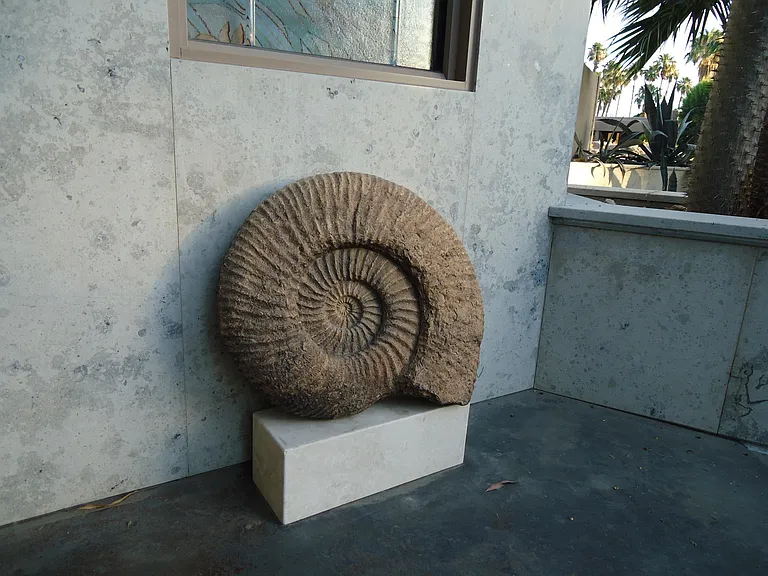 Jurastone veneer shows fossils and large ammonite sculpture on pedestal