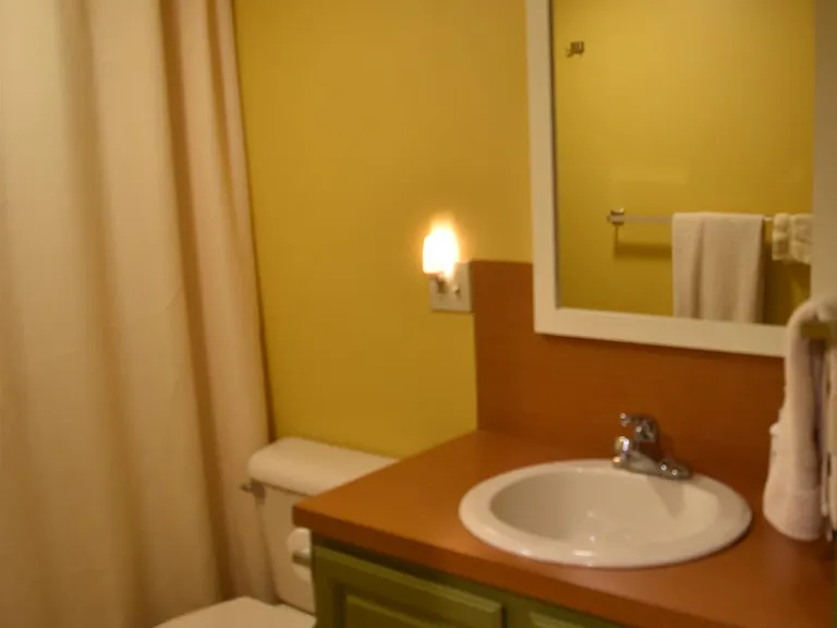 Lower level--Full bathroom