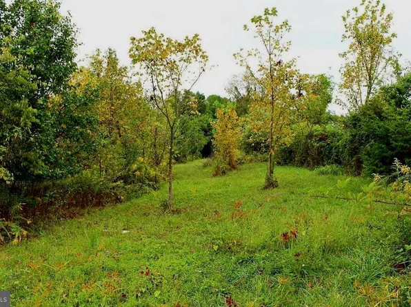 Cedar Ln, Bowling Green, VA 22427