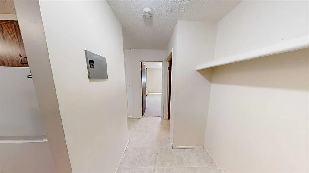 1 bed, 1.0 bath, 595 sqft, $1,100 — Photo 4