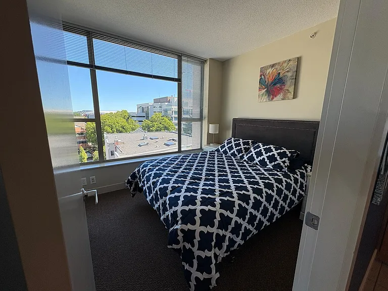 760 Johnson St #704 — Photo 10