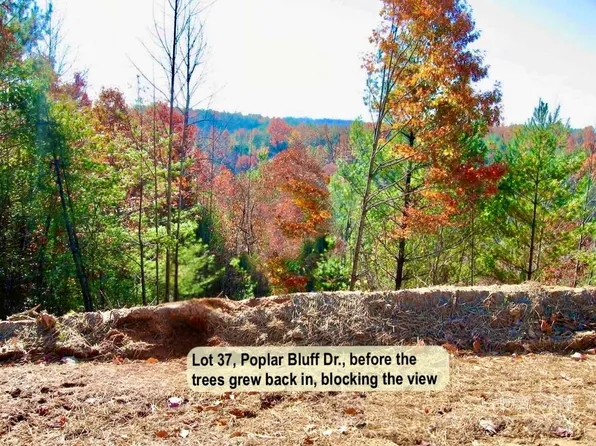 LOT 37 Poplar Bluff Dr SE, Lenoir, NC 28645