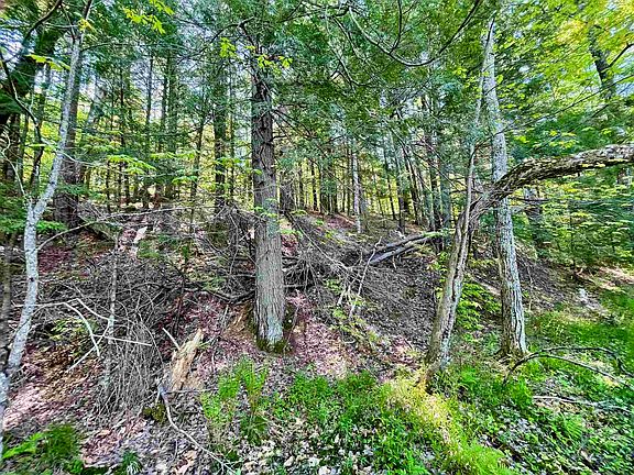 5th image of 0 S Chocorua River Dr