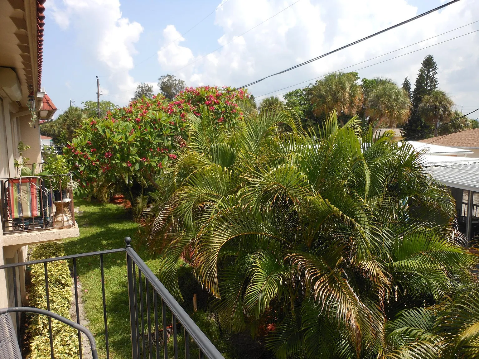 1 bed, 595 sqft, $1,595 — Photo 3