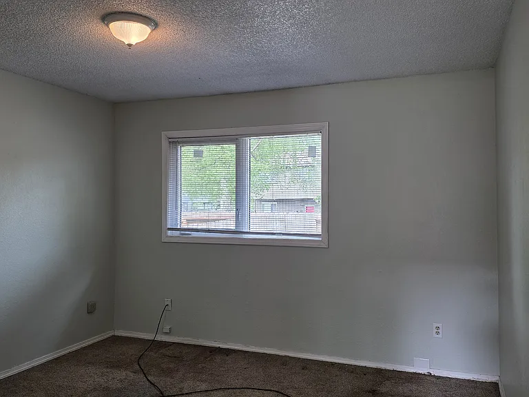 9585 Canton Loop — Photo 6
