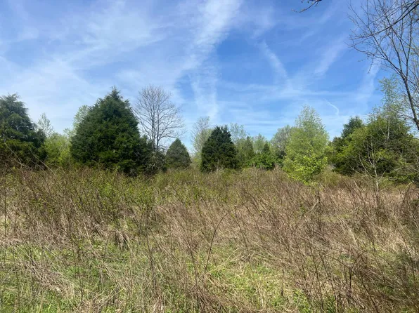 0 Mount Zion Rd, Beaver Dam, KY 42320