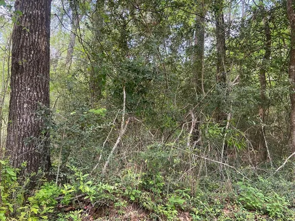 0 Friar Tuck St, Shepherd, TX 77371