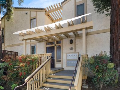 1945 Trinity Ave APT 8, Walnut Creek, CA, 94596