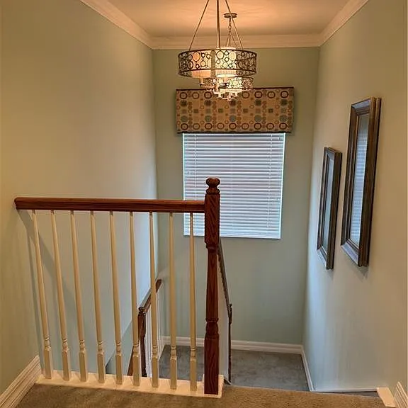 10305 Longleaf Pine Ct — Photo 17