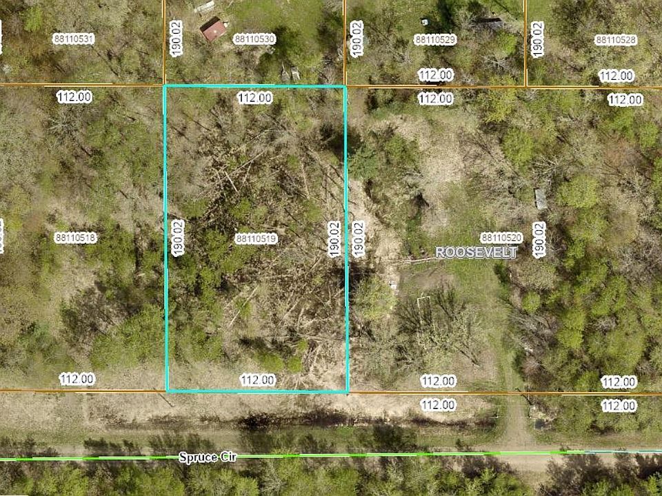 1st image of Spruce Cir