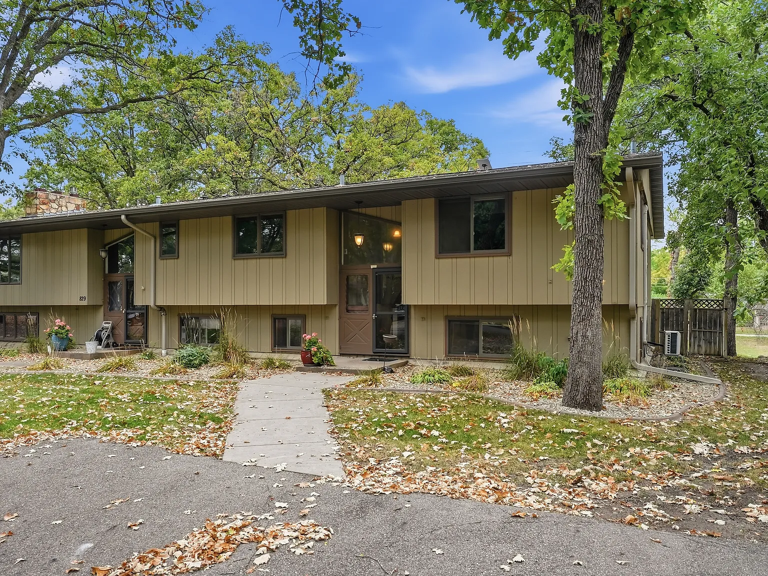 1 bed, 600 sqft, $800 — Photo 2