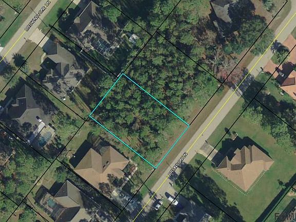 3rd image of 81 Bronson Ln