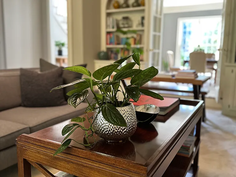 2416 Dunwoody Hollow Dr — Photo 15