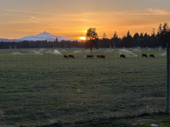 353 S Pine Meadow St #8, Sisters, OR 97759