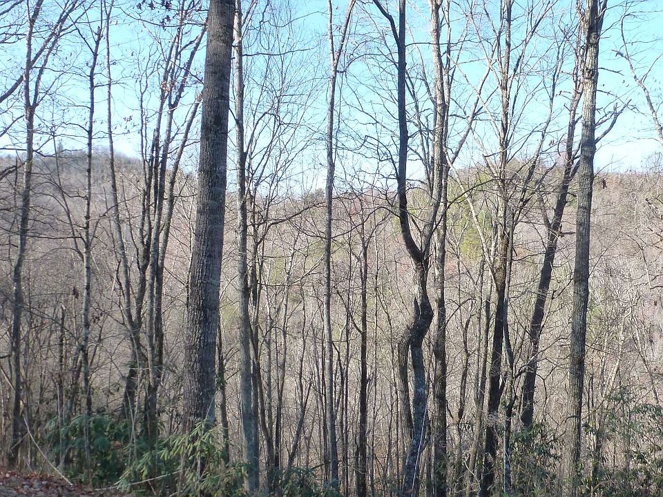 2nd image of 0 Valley View Heights Ln