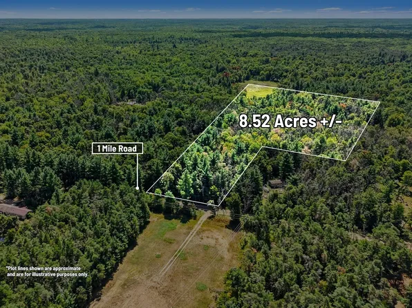 1 Mile Rd, Morley, MI 49336
