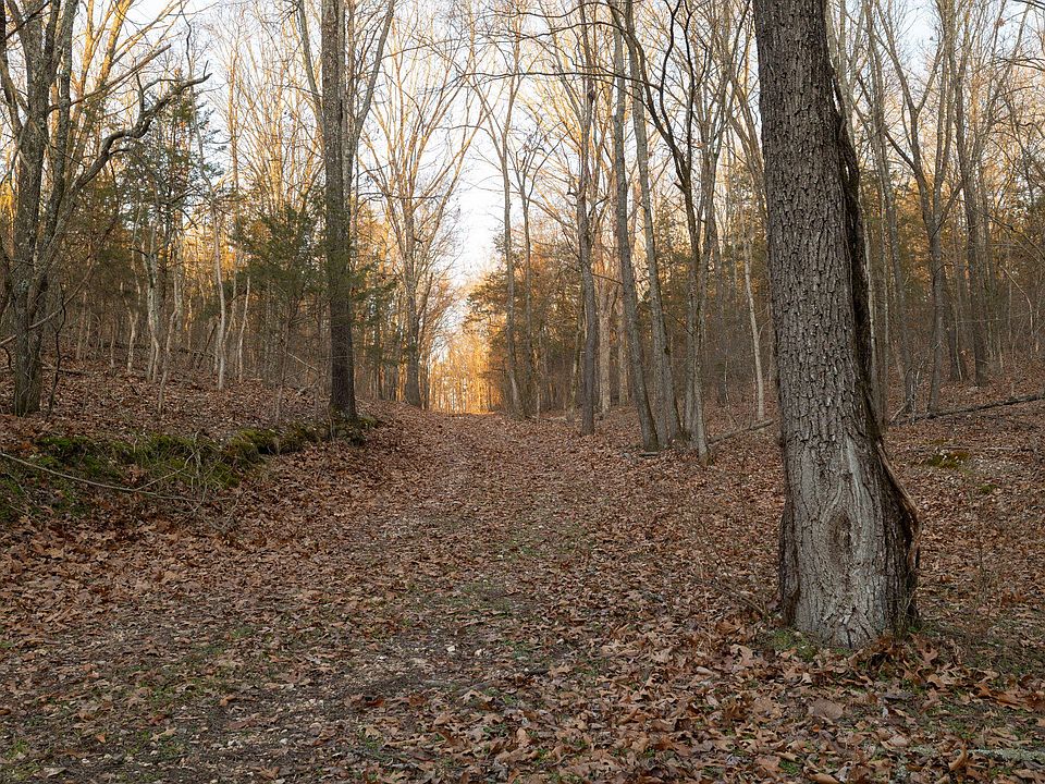 103rd image of this home