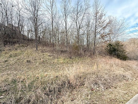 2nd image of LOT 8 Chalybeate Dr #1