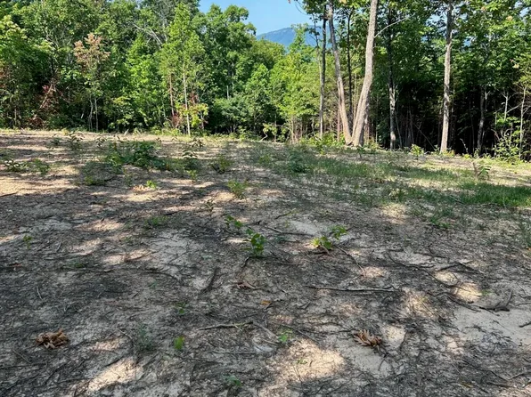 TRACT 4R1 Mecca Pike, Tellico Plains, TN 37385