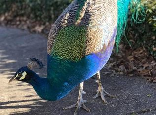 1406 Cedar Oaks Blvd, Dallas, TX 75216