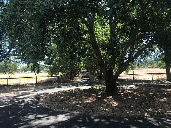 Cathedral Treelined Drive, from Veranda to the street