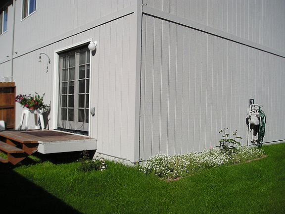 Back Yard/Side Yard