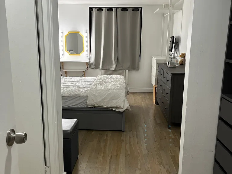 Bedroom entrance with walk-in closet on the left and in-wall closet on the right